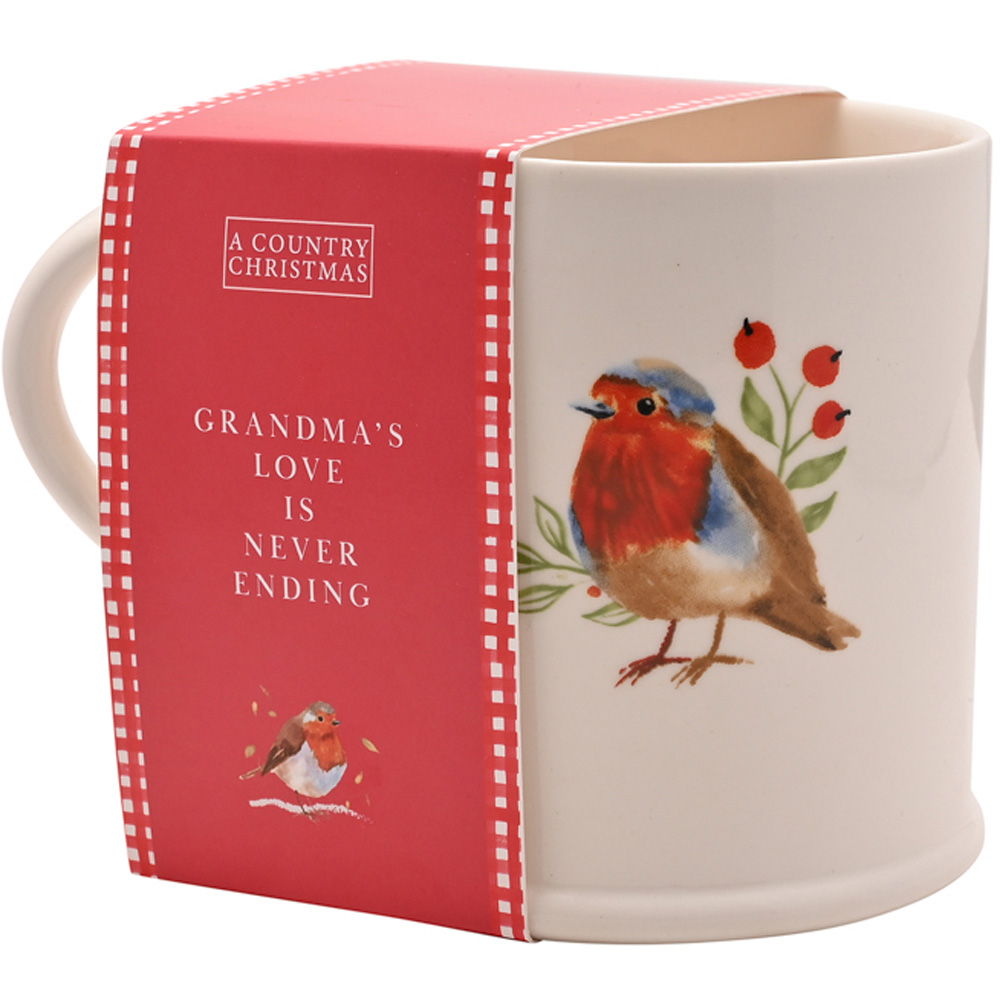 The Seasonal Gift Co. Robin Grandma Mug Image 3
