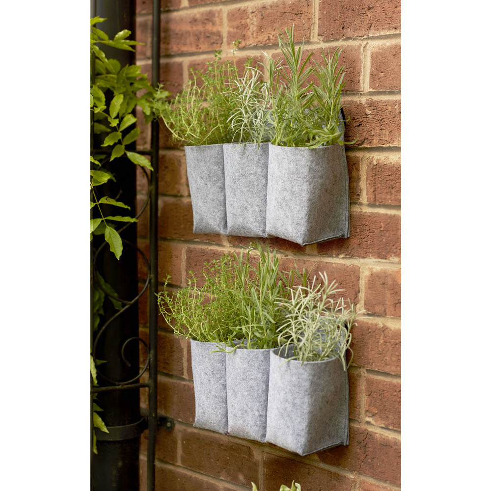 Wilko 2 pack Clever Pots Hanging Wall Planter Image