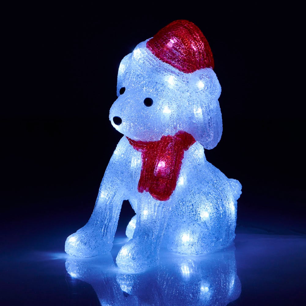 Wilko B/O Acrylic Light Up Pup with Hat Image 6