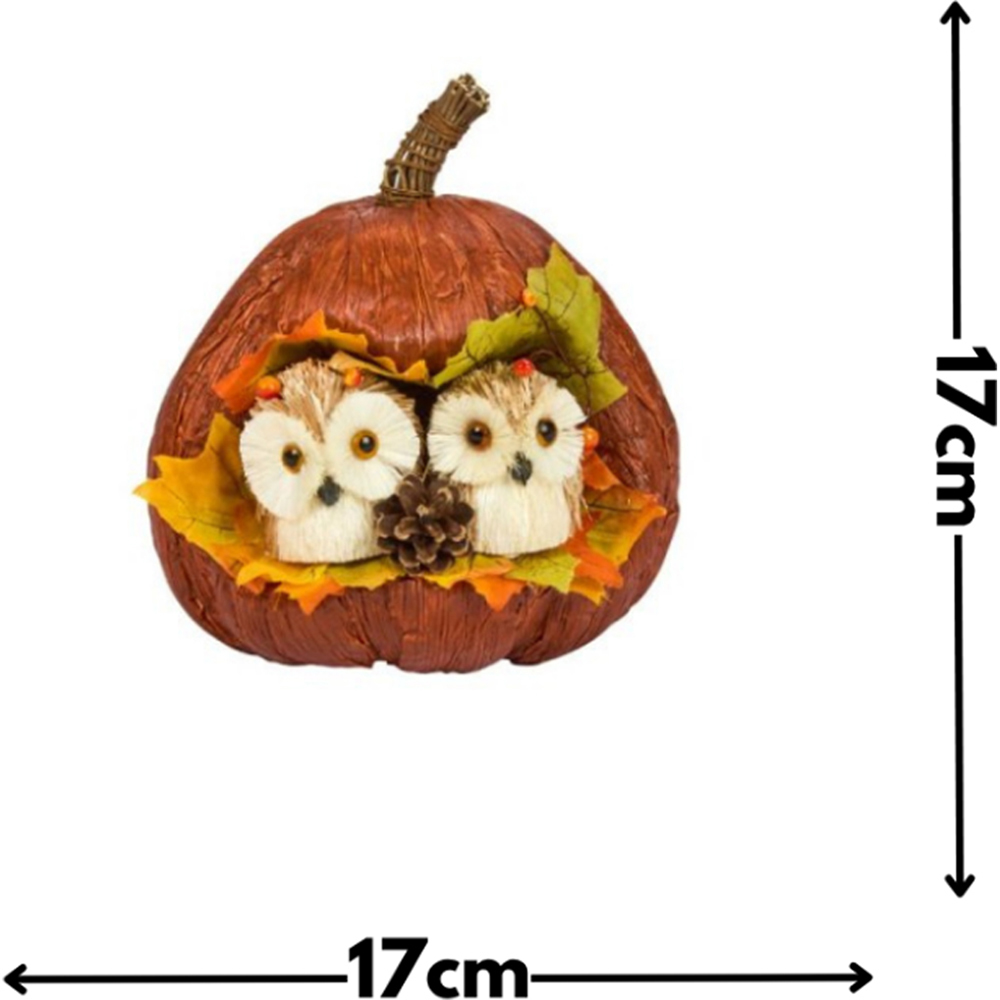 Garden Mile Autumn Owl Pumpkin Decoration Image 3
