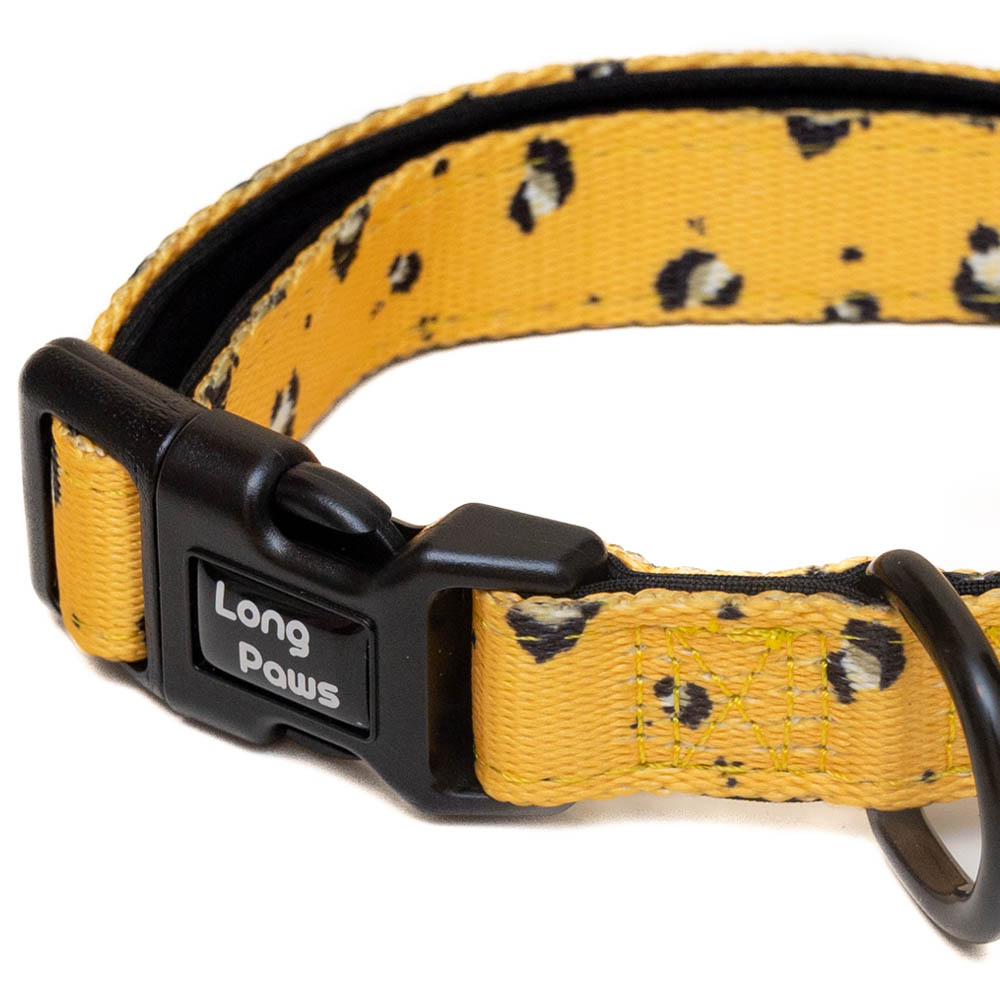 Long Paws Funk the Dog Small Mustard Panda Collar Image 3