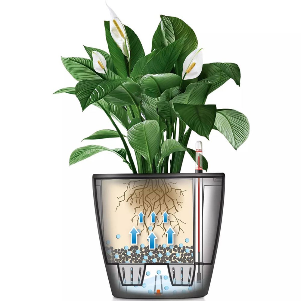 Lechuza Classico Slate Polyresin Self Watering Planter Pot 21cm 2 Pack Image 5
