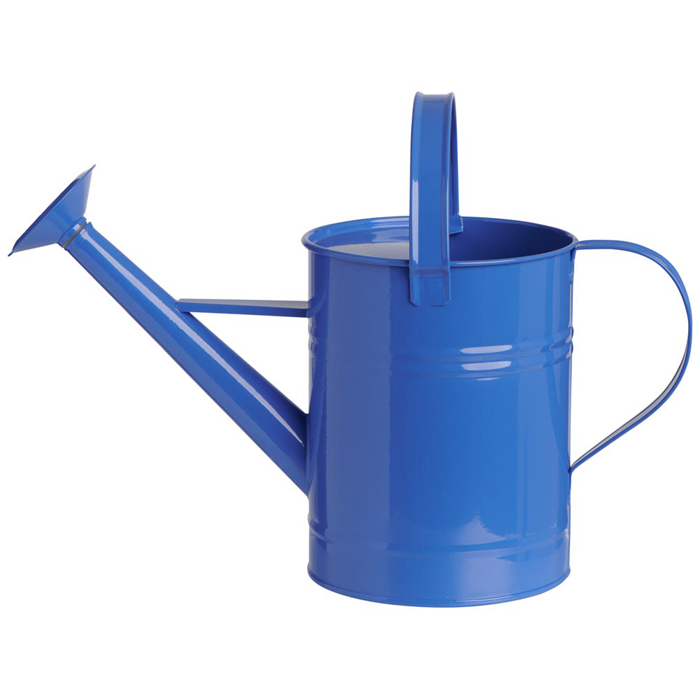 Single Metal Watering Can 1.7L in Assorted styles Image 6