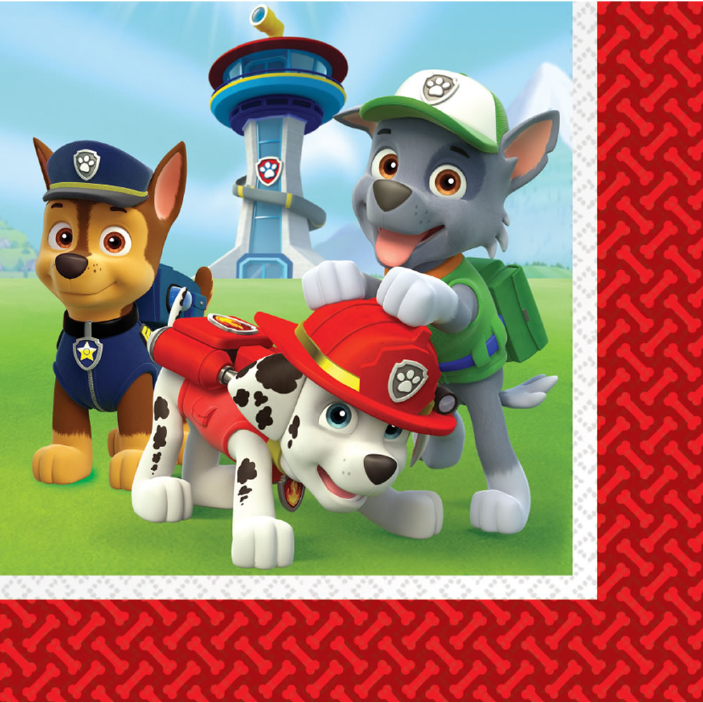 Paw Patrol Napkins 20 pack printed tissue  - wilko