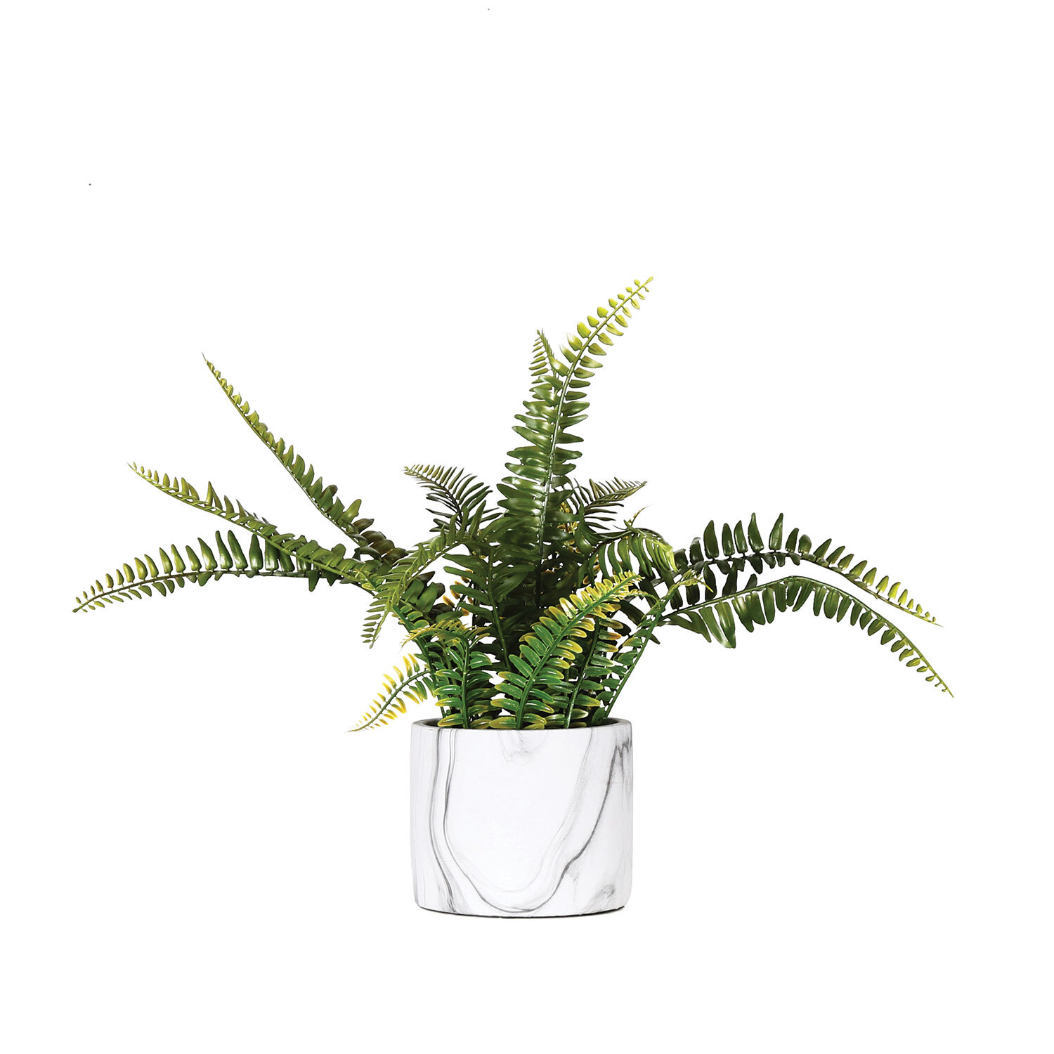 Fern in Marble Pot Image