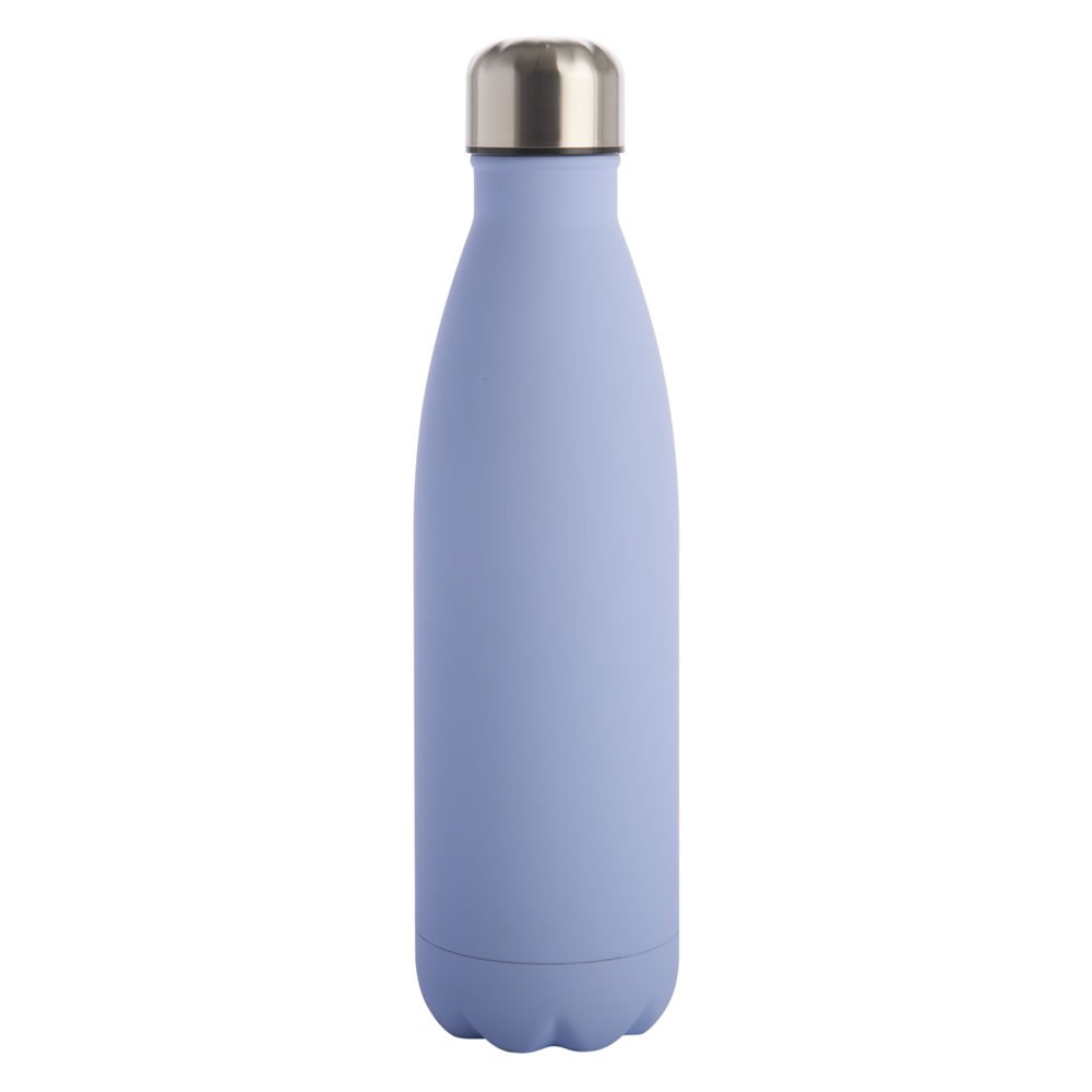 Water Bottle with Double Wall Insulation to Keep Drinks Both Hot and Cold Wilko 500ml Blue Double Wall Flask 