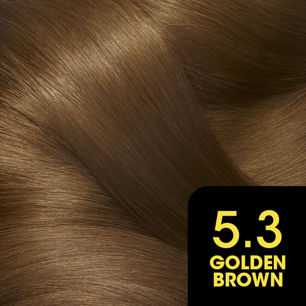 Garnier Olia Golden Brown 5.3 Permanent Hair Dye Image 2