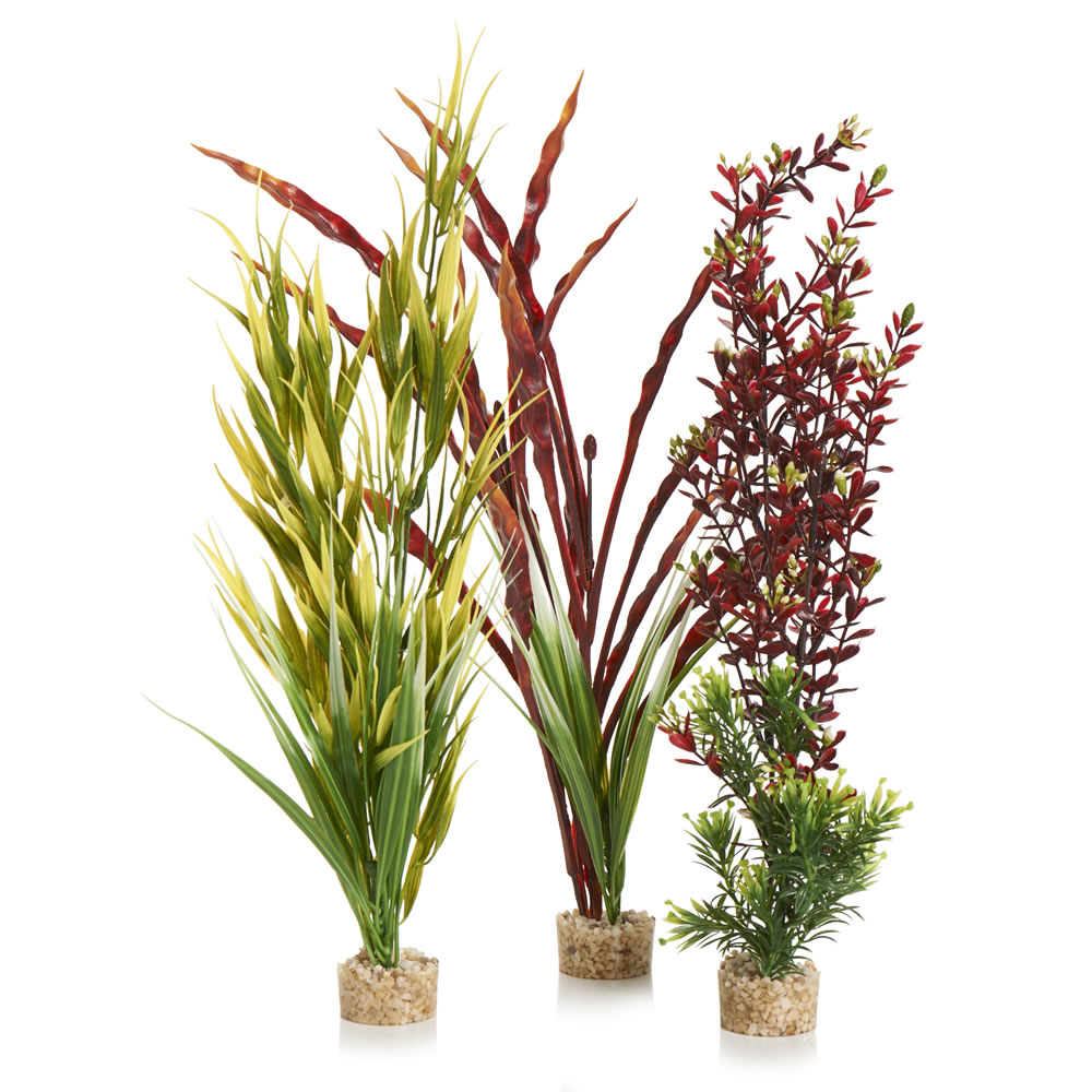 Wilko Large Aquarium Plant in Assorted Colours and Designs Image 1