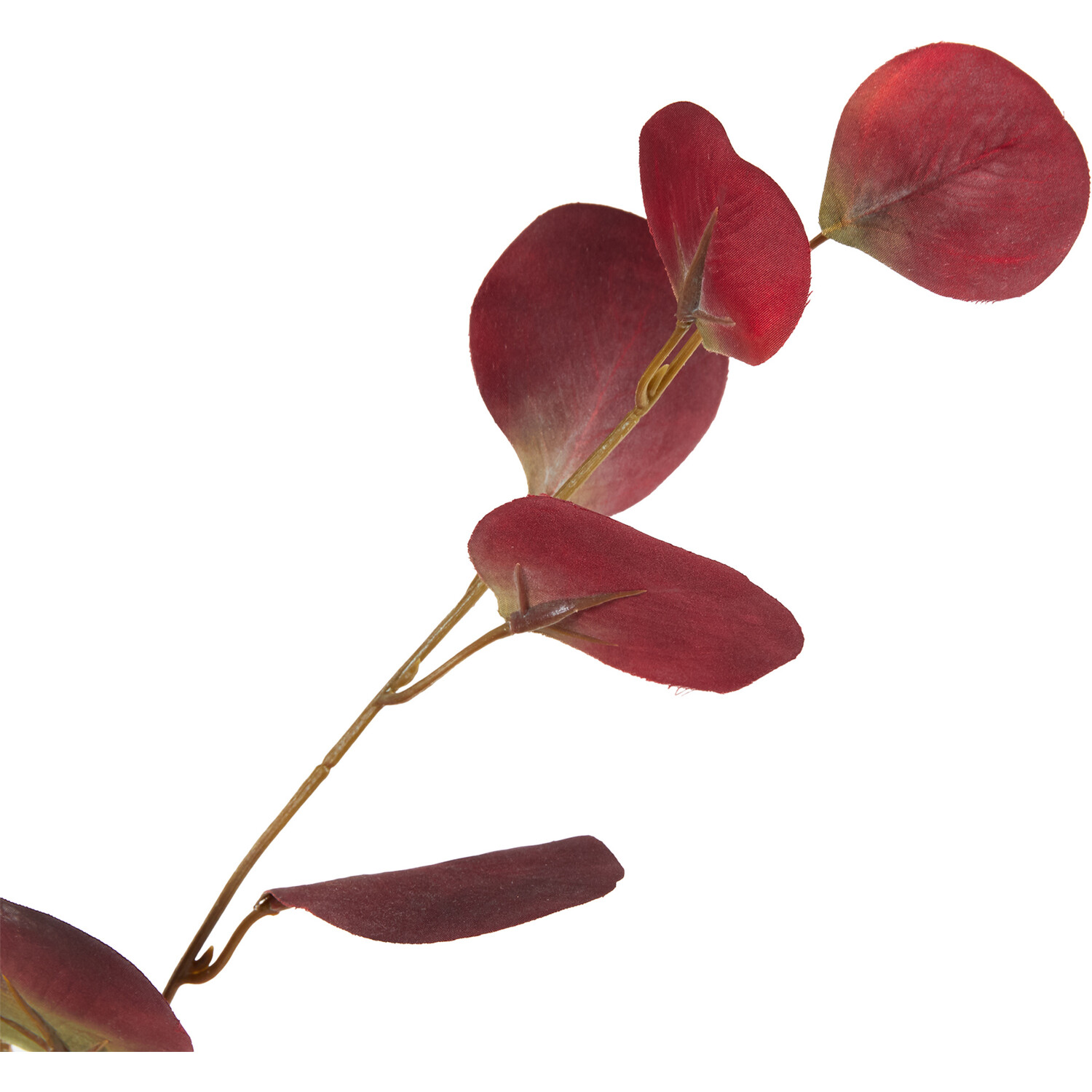 Eucalyptus Stem - Burgundy Image 3