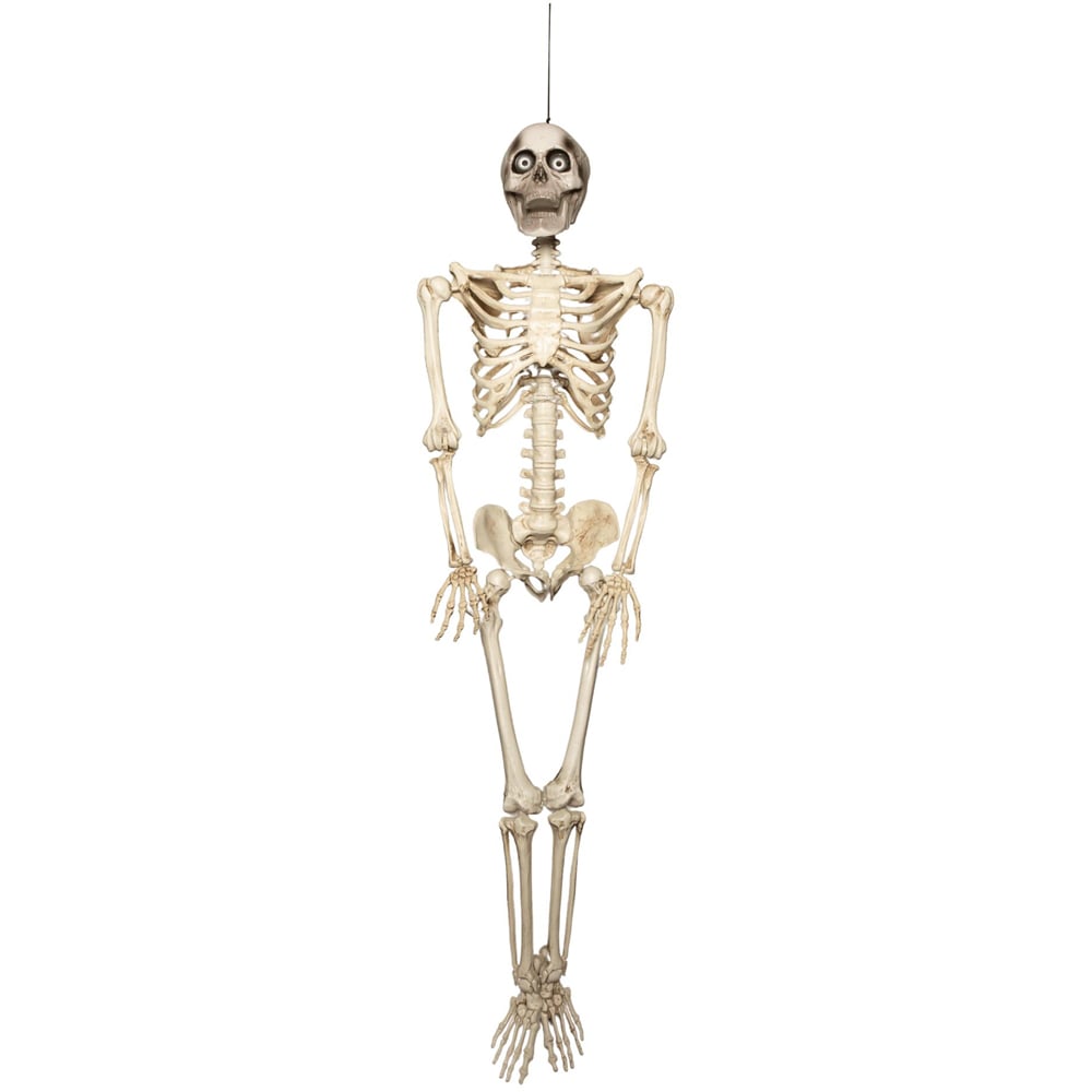 Samuel Alexander Halloween Skeleton Decoration with Animated LCD Eyes 5ft Image 1