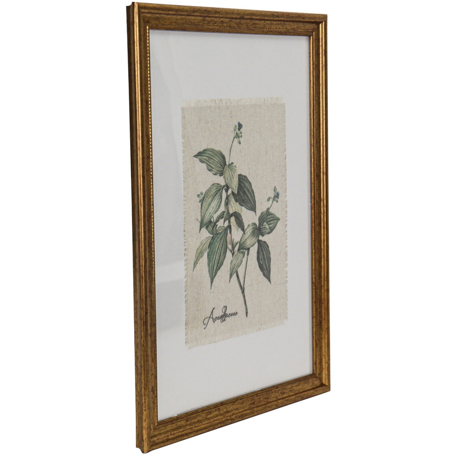 Gold Framed Botanical Flowers Wall Art Image 3