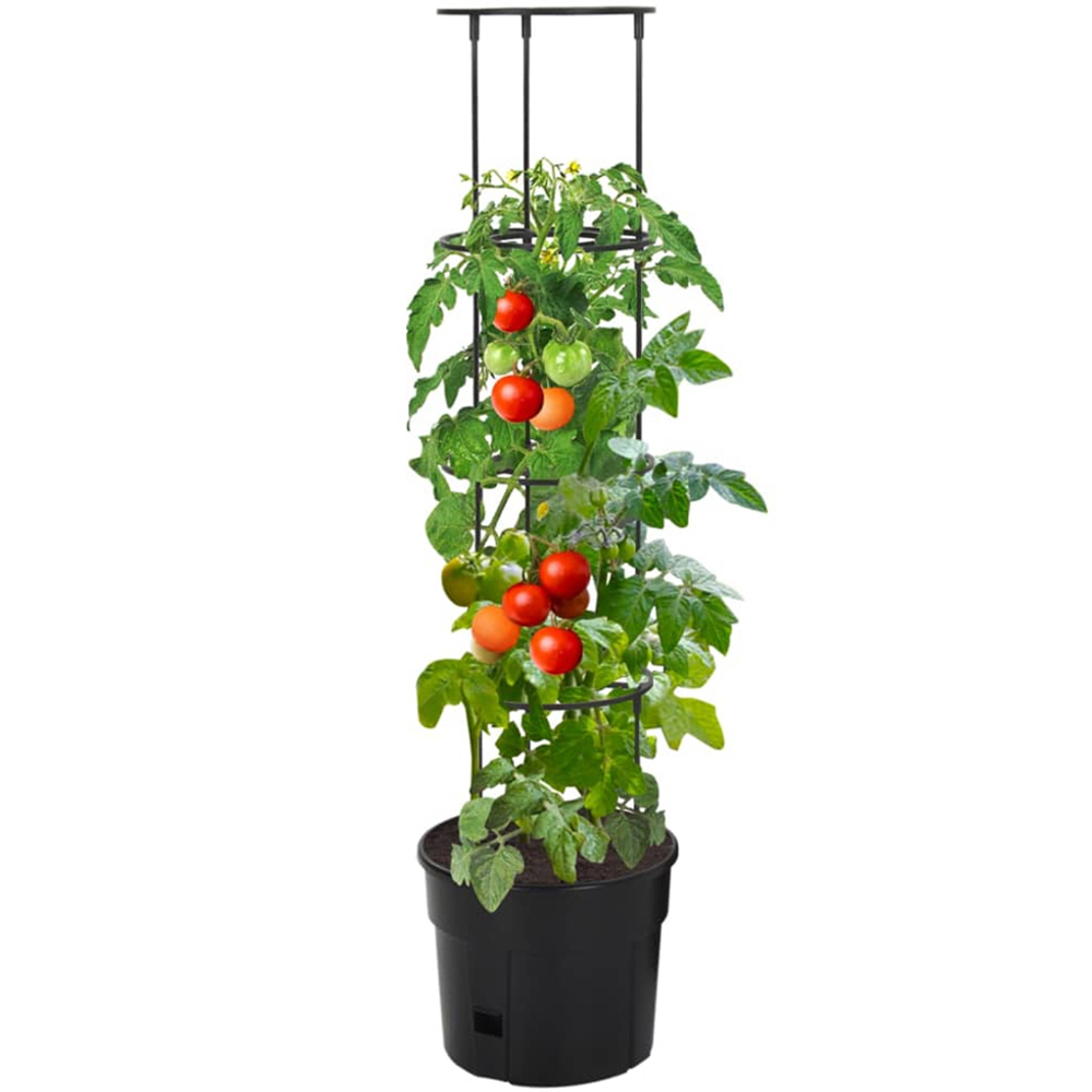 vidaXL Anthracite Plastic Tomato Grower 29.5 x 115cm Image 2