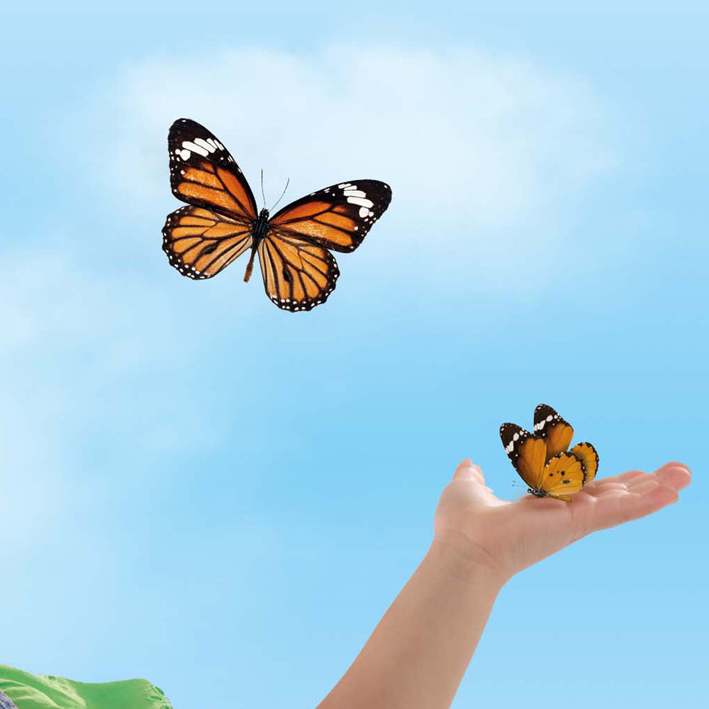 SES Creative Explore Butterfly Hotel Image 5
