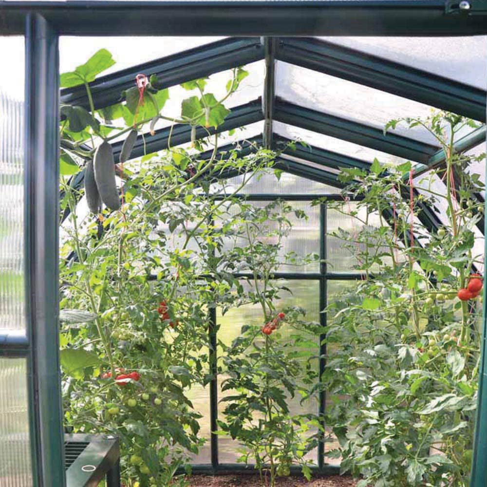 Palram Canopia Eco Grow Polycarbonate 6 x 8ft Greenhouse Image 5