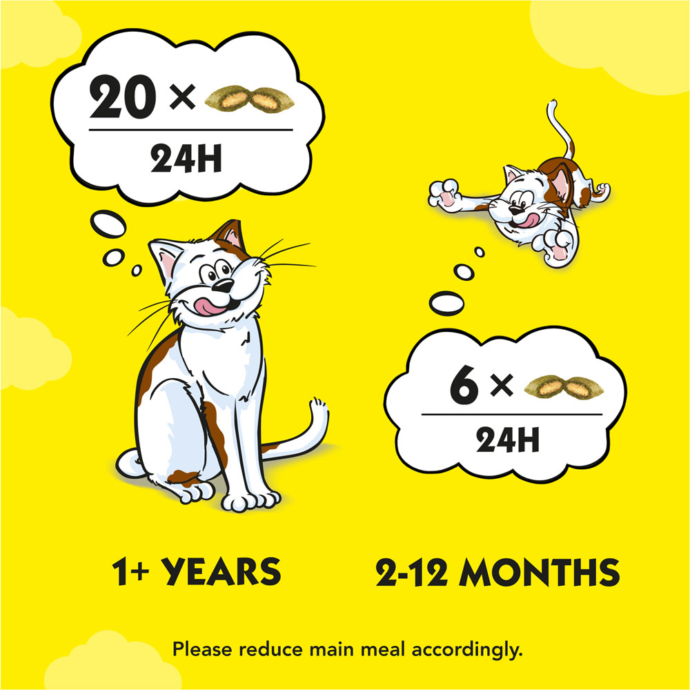 Dreamies Catnip Adult Cat Treats 60g Image 6