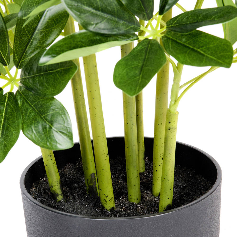 GreenBrokers Artificial Schefflera Indoor Plant in Black Pot Image 2