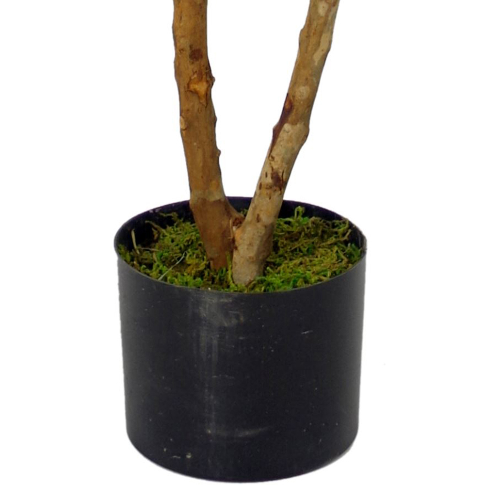 Botanik Ruscus Ficus Artificial Tree with Real Wood Trunk in Pot 3.3ft Image 2
