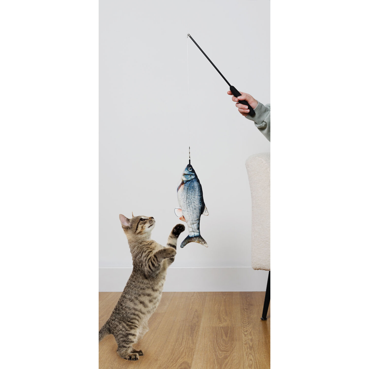 Jumpin' Fish Cat Toy Image 2