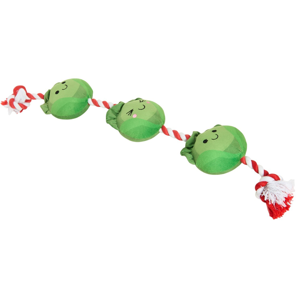 Sprouts Rope Dog Toy Image 4