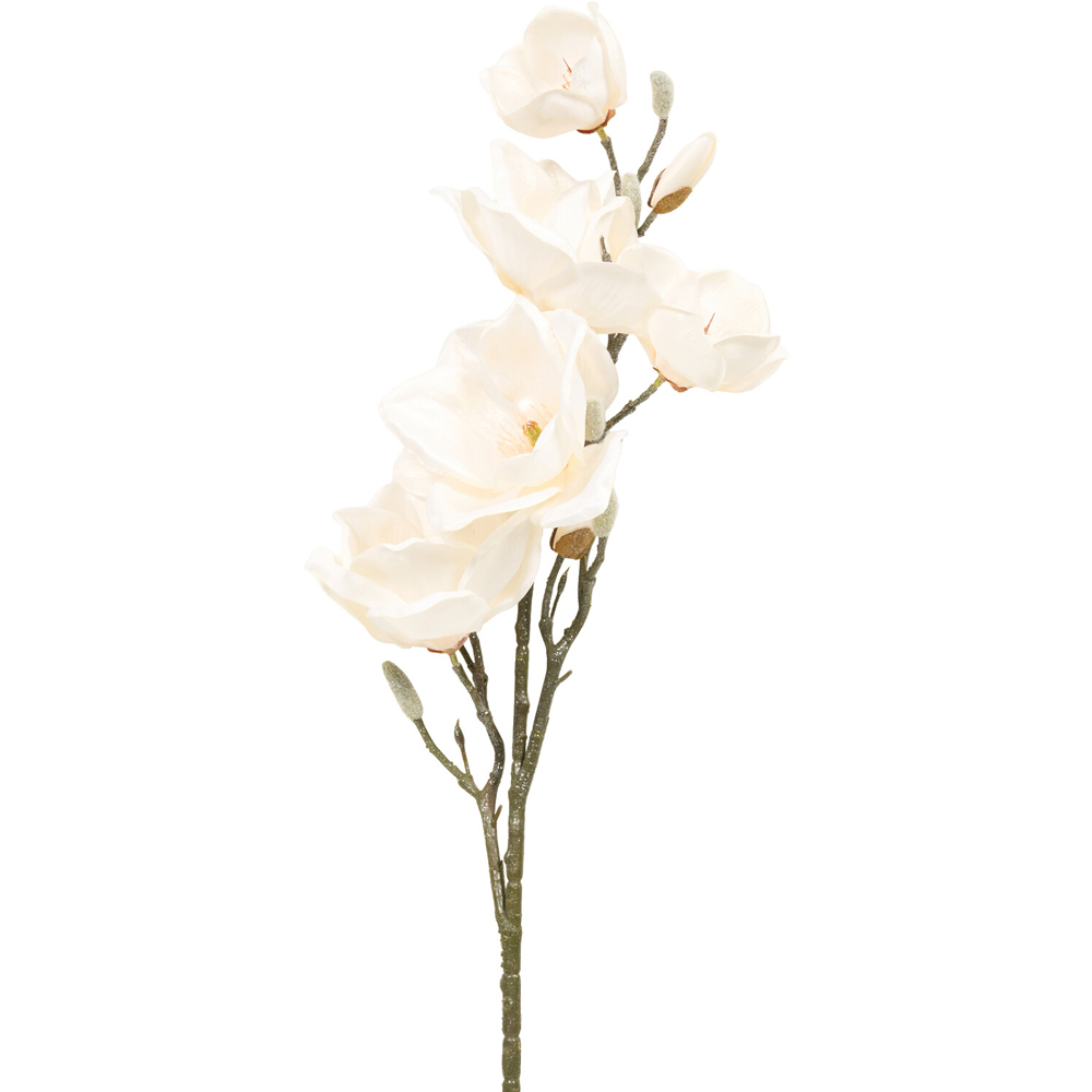 Shimmer Magnolia Stem Image 2