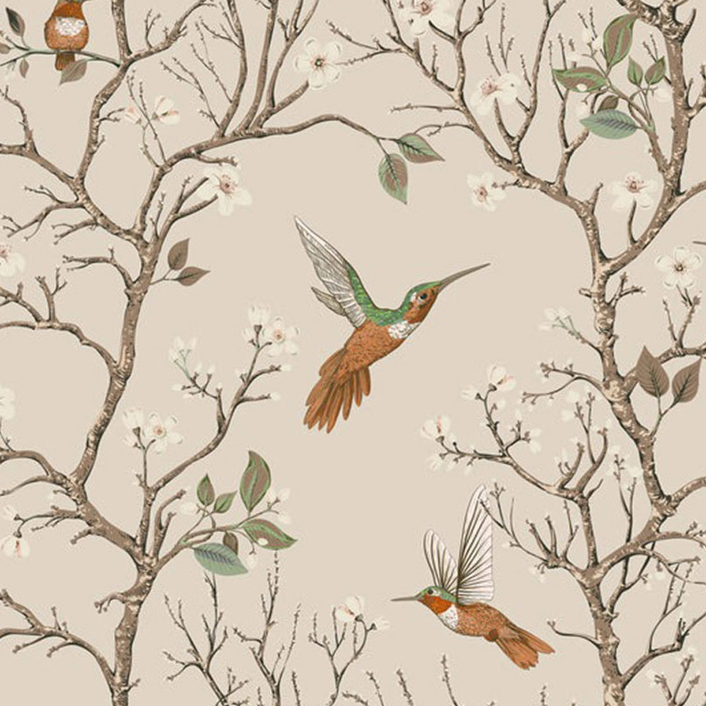 Bobbi Beck Eco Luxury Hummingbird Beige Wallpaper Image 1