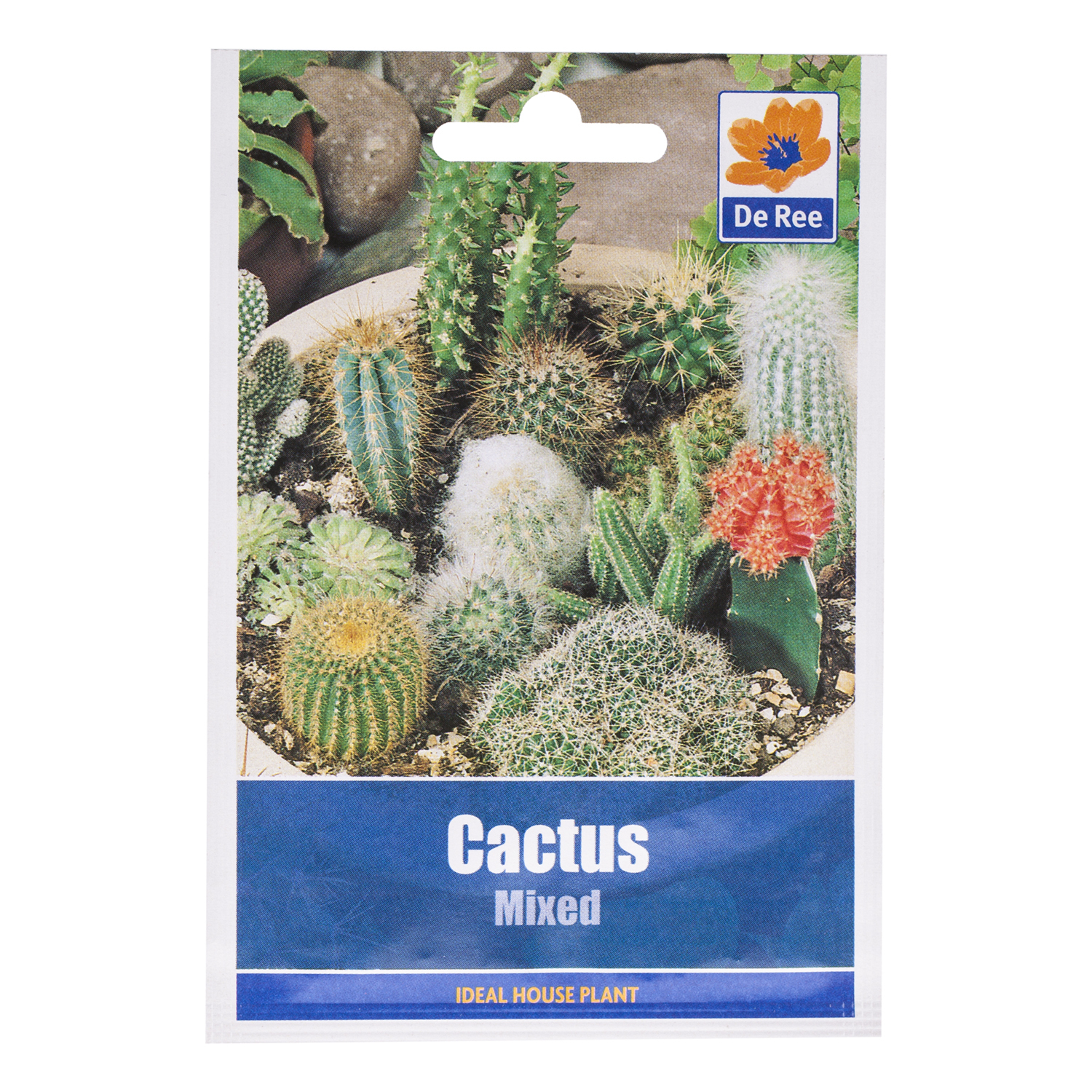 Mixed Cactus Seed Packet Image