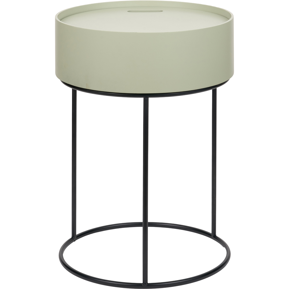 Pacific Lifestyle Hugo Sage Green Wood Veneer and Black Metal Storage Table Image 2