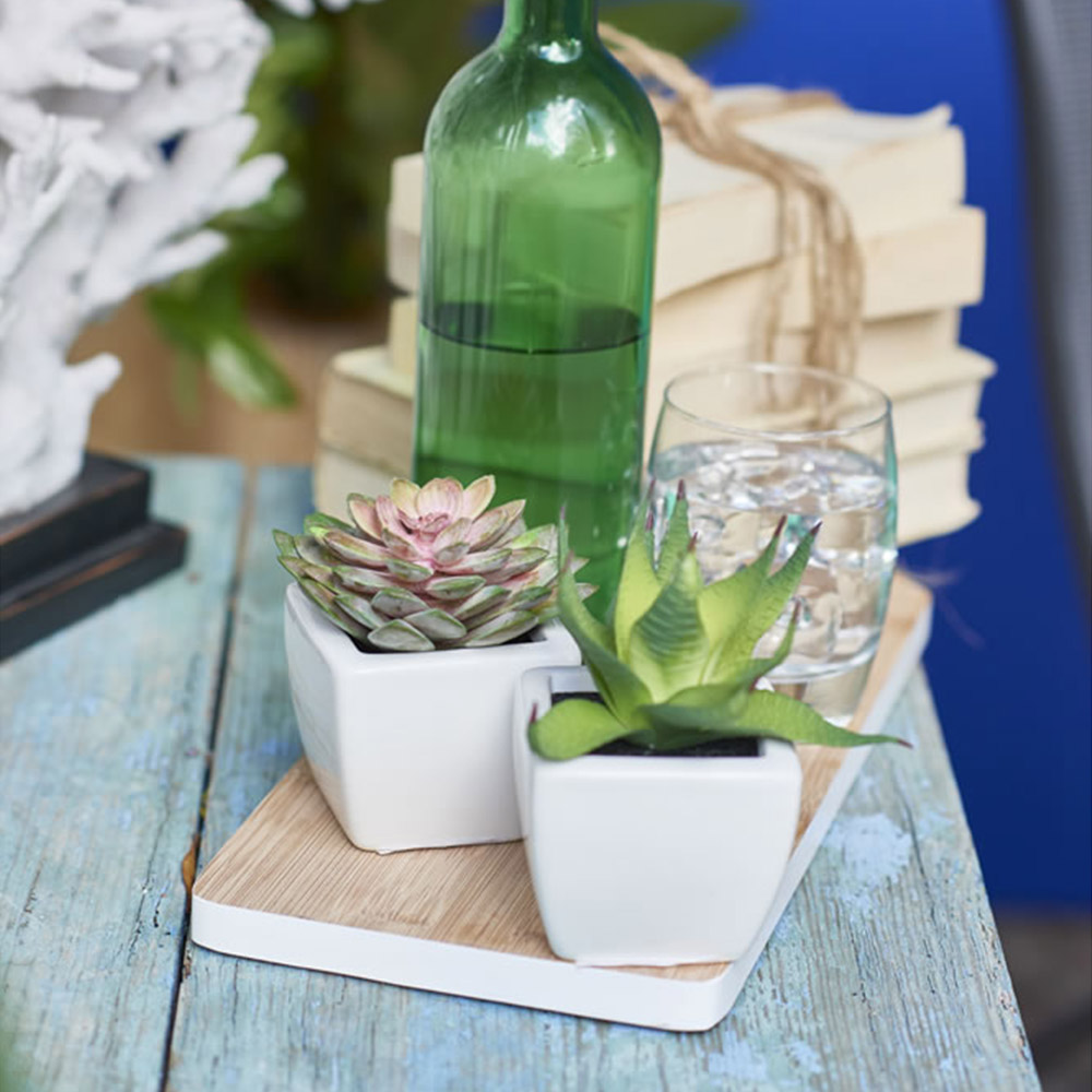 Wilko Artificial Succulent Plant in Ceramic Pot Image 3
