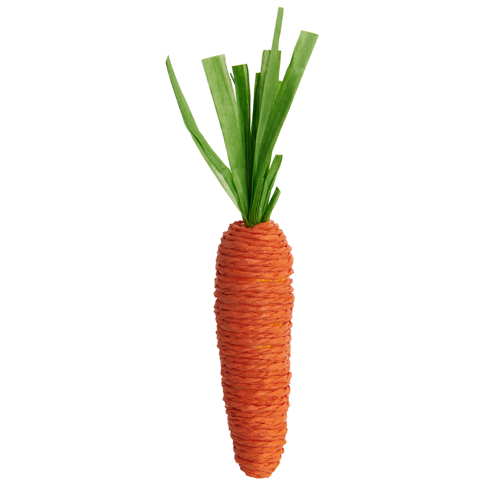 Wilko Large Carrots 6pcs Image 1