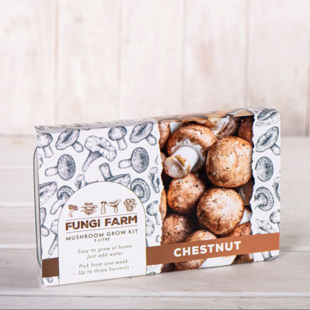 Thompson and Morgan Gift Mushroom Chestnut Prepack Windowsill Kit 3L Image 5