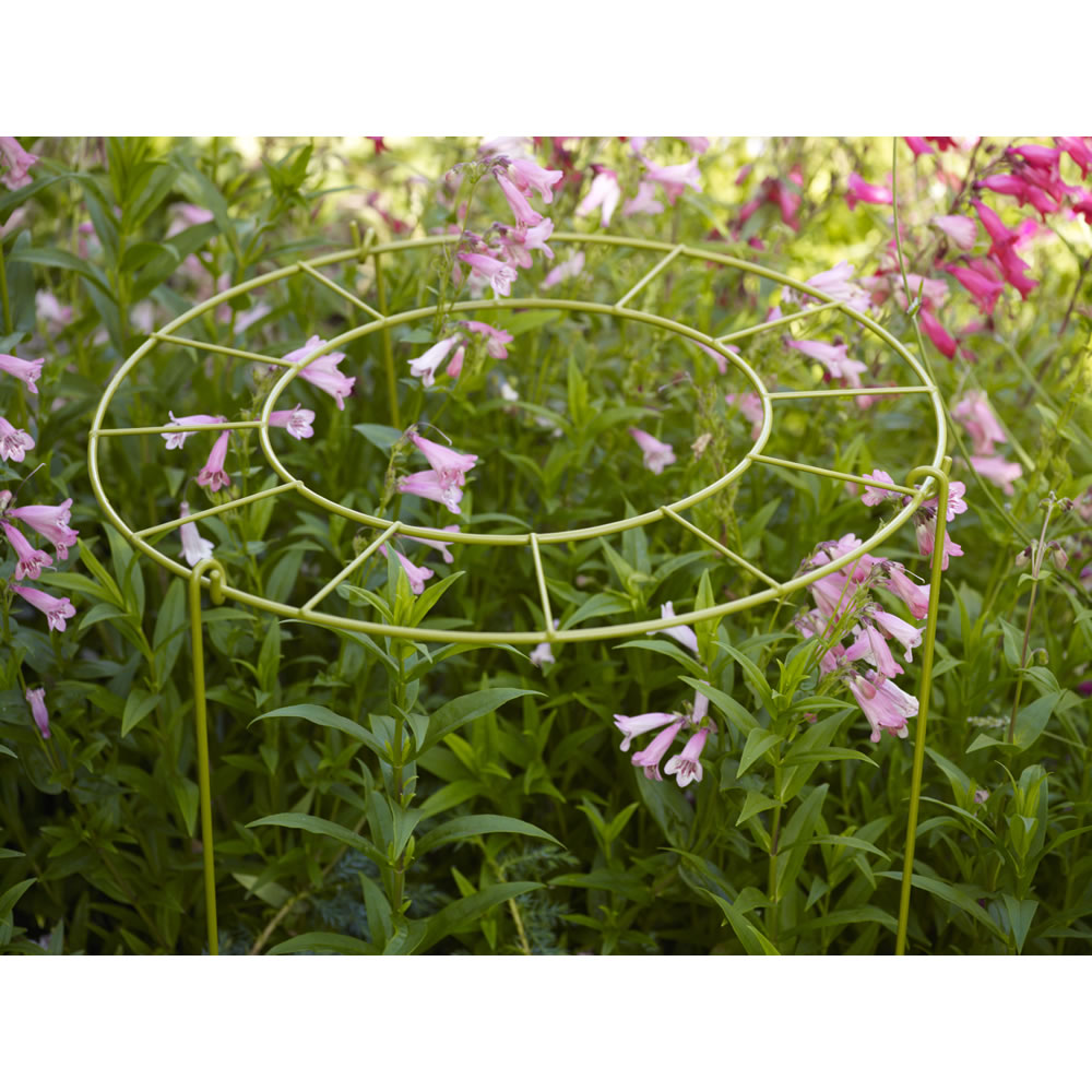 Wilko 45cm Diameter Plant Support 2 pack Wilko