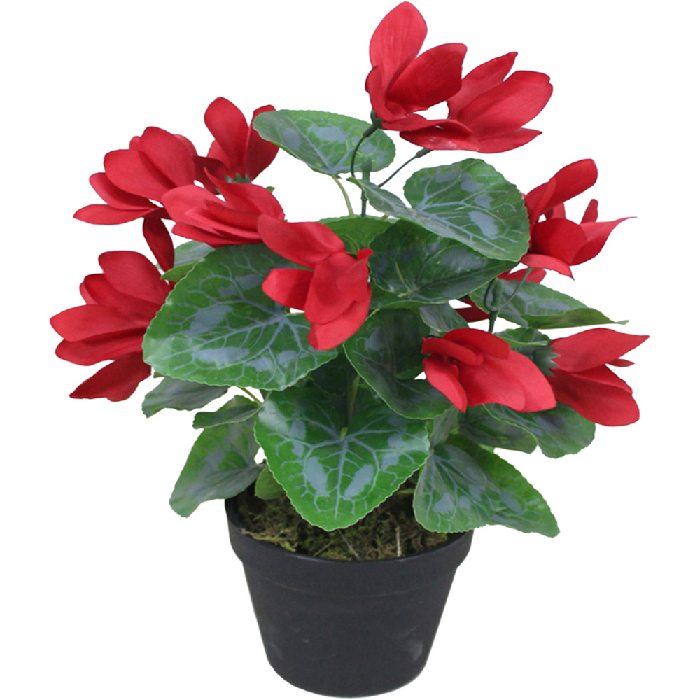 Leaf Red Cylamen Artificial Plant in Plastic Pot 1.2ft Image