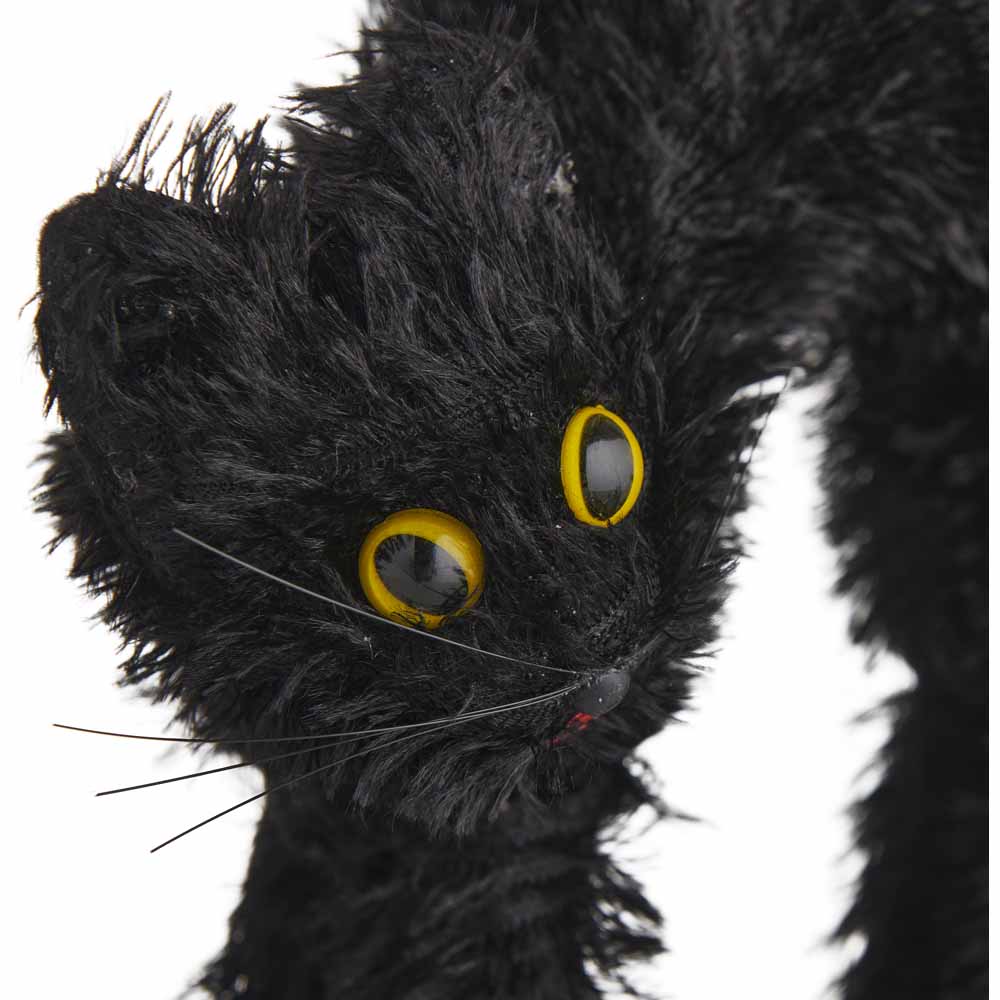 Wilko Halloween Black Cat Image 2