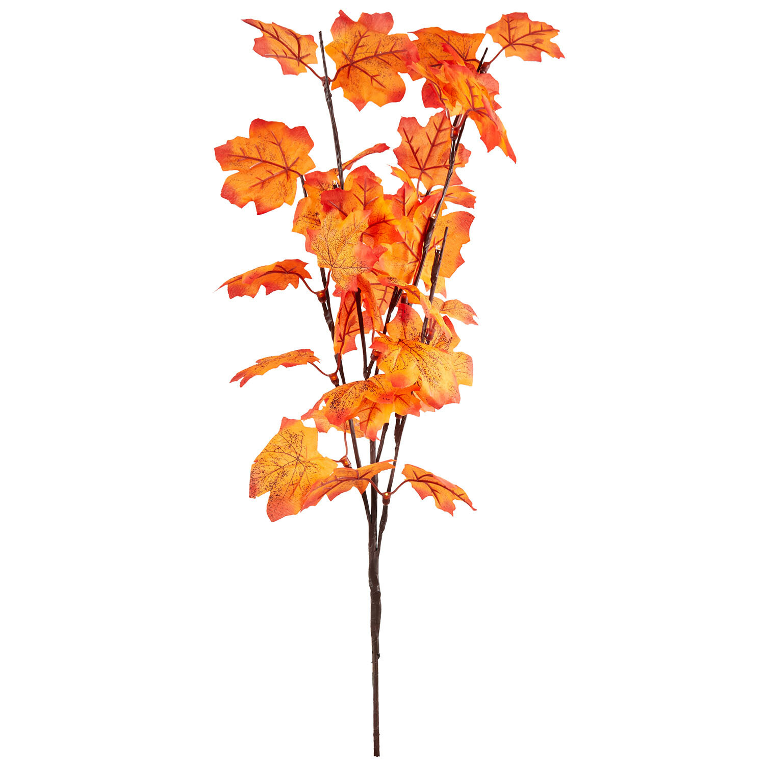 Autumn Maple Twig Light Yellow-Orange Image 1