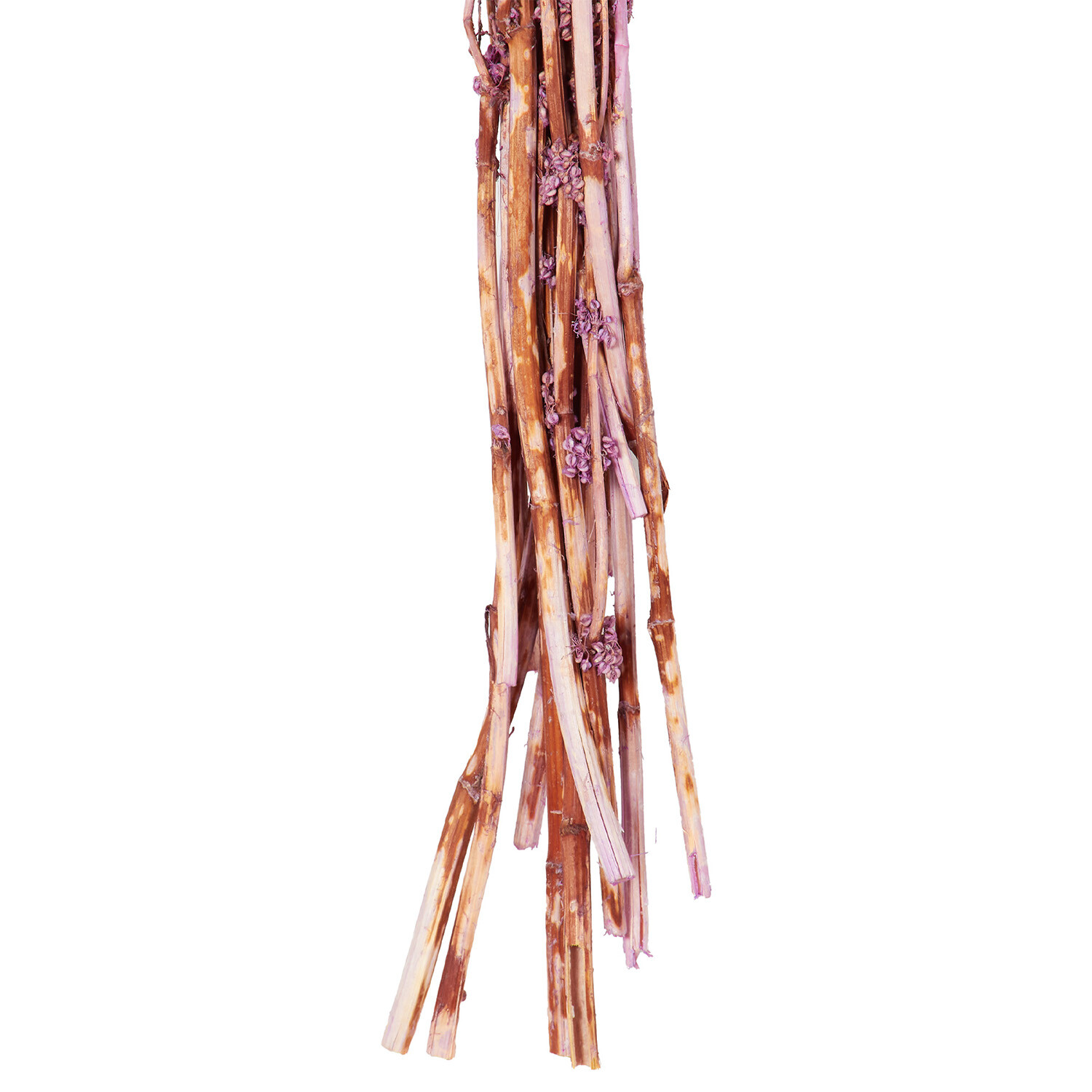 Palang Grass Bouquet - Lavender Image 5