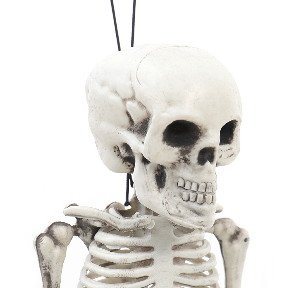 Living and Home Halloween Human Anatomy Skeleton 30cm Image 3