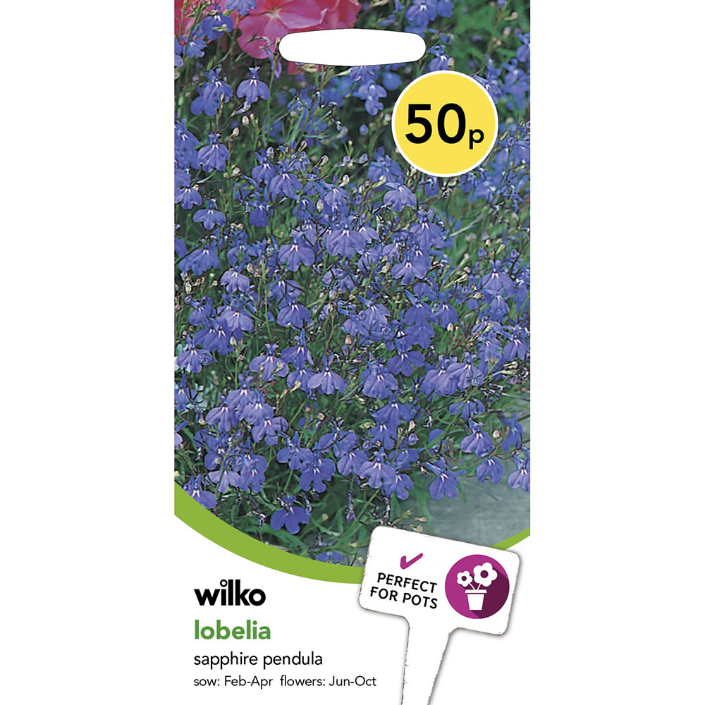 Wilko Lobelia Sapphire Pendula Seeds Image 2