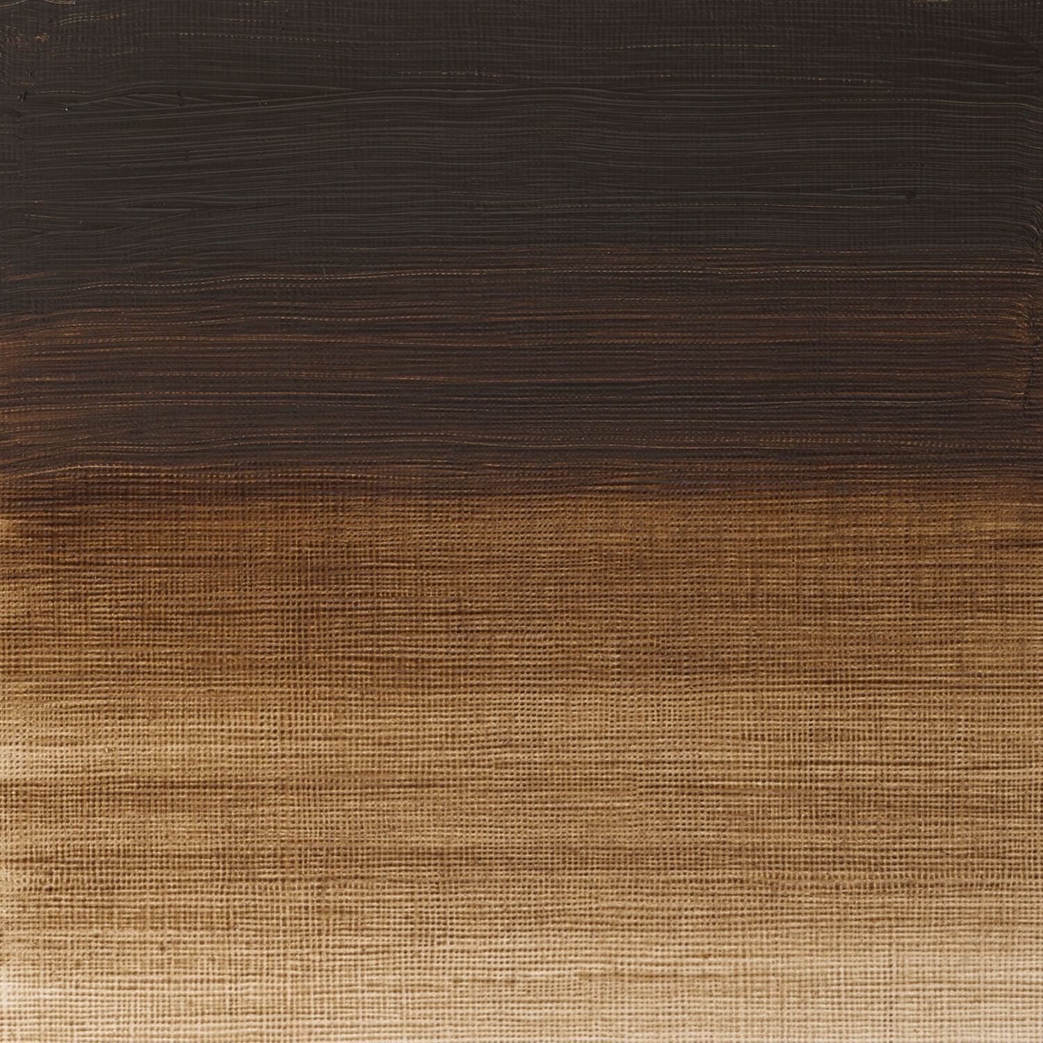Winsor and Newton Griffin Alkyd Oil Colour - Raw Umber Image 2