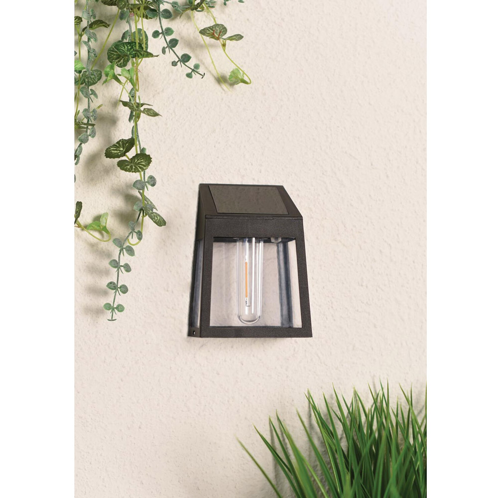 Alexis Solar Filament LED Wall Light - Black Image 4