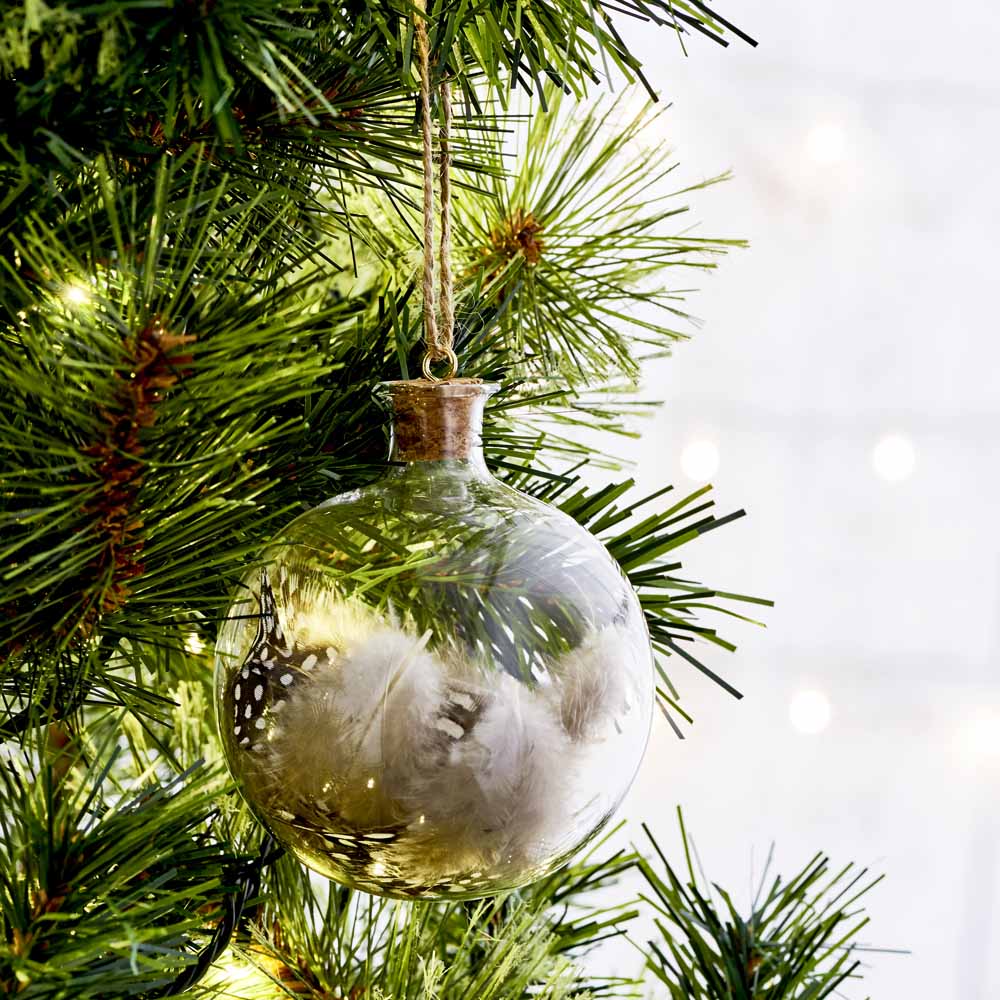 Wilko Midwinter Encapsulated Feather Tree Bauble Wilko