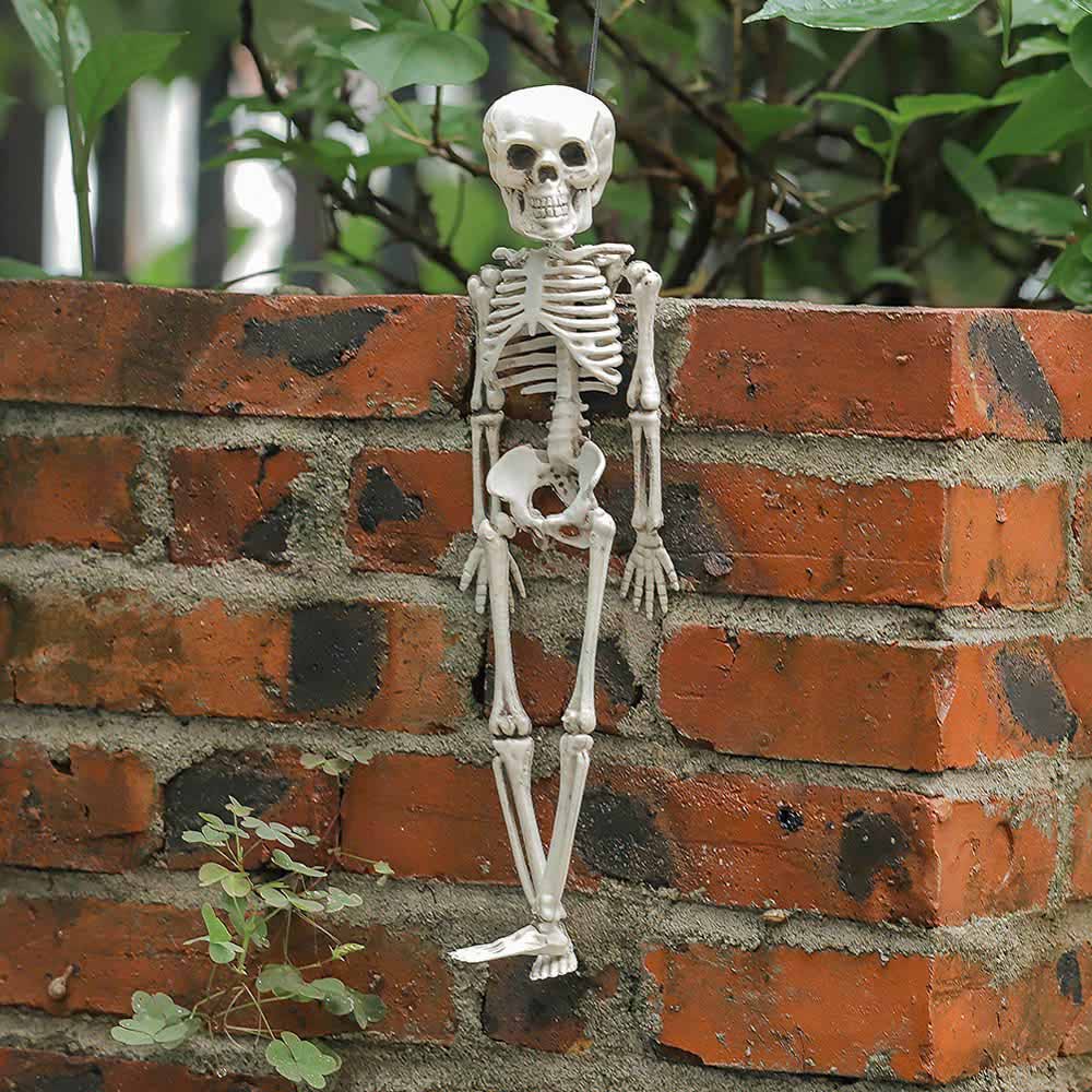 Living and Home Halloween Human Anatomy Skeleton 30cm Image 4