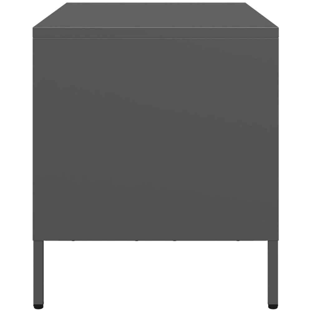 vidaXL 2 Drawer Black Steel Industrial Style TV Cabinet Image 5