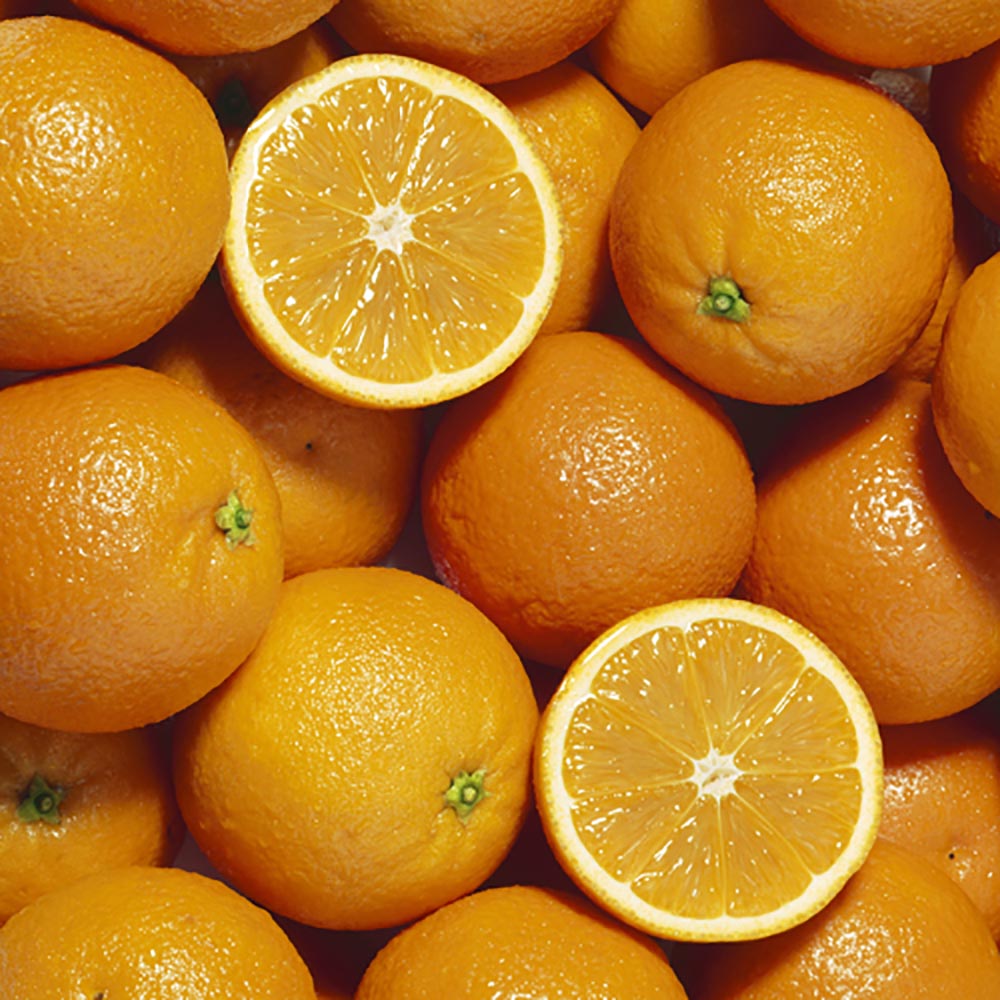 YouGarden Large Orange Tree 4/5L Pot Image 1