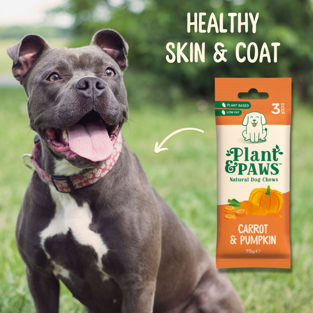 Plant & Paws Carrot & Pumpkin Natural Dog Chews 75g Image 2