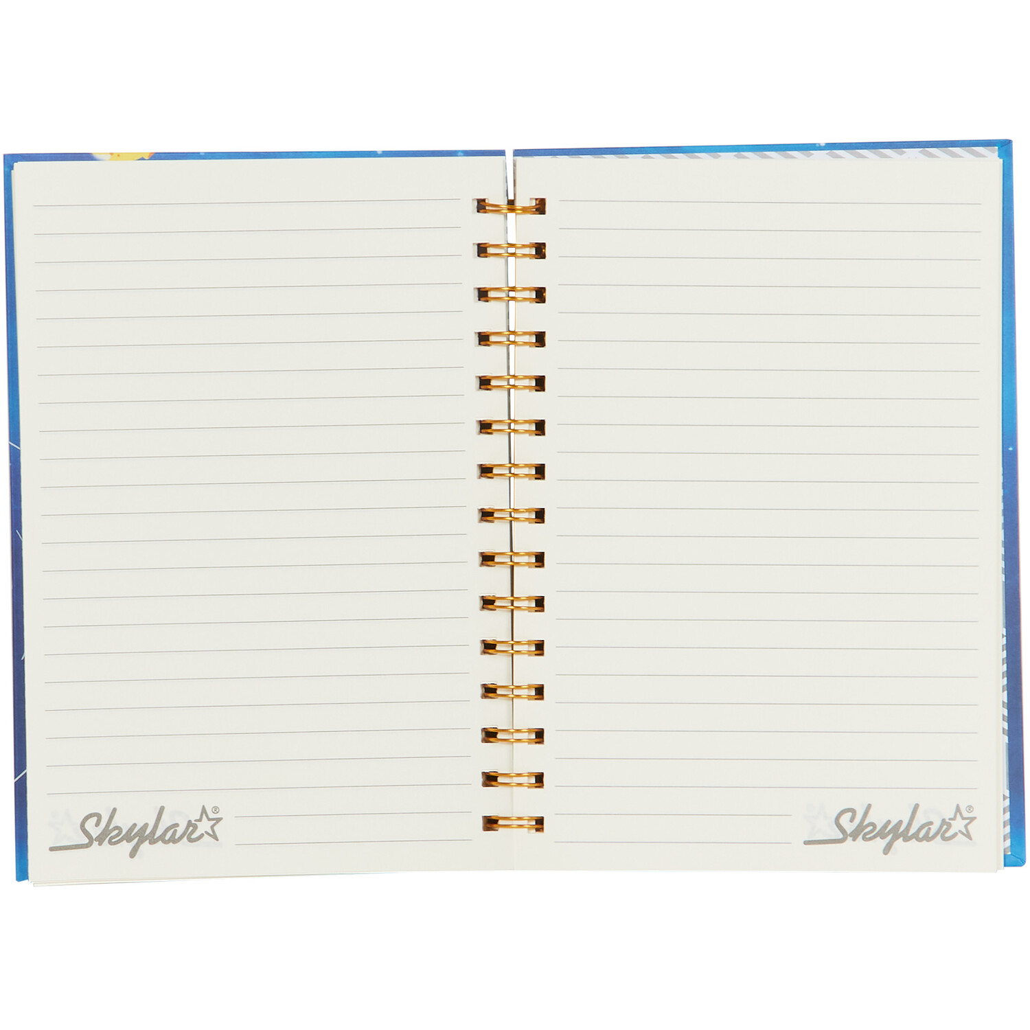 Dinosaur or Space Fidget Notebook Image 7