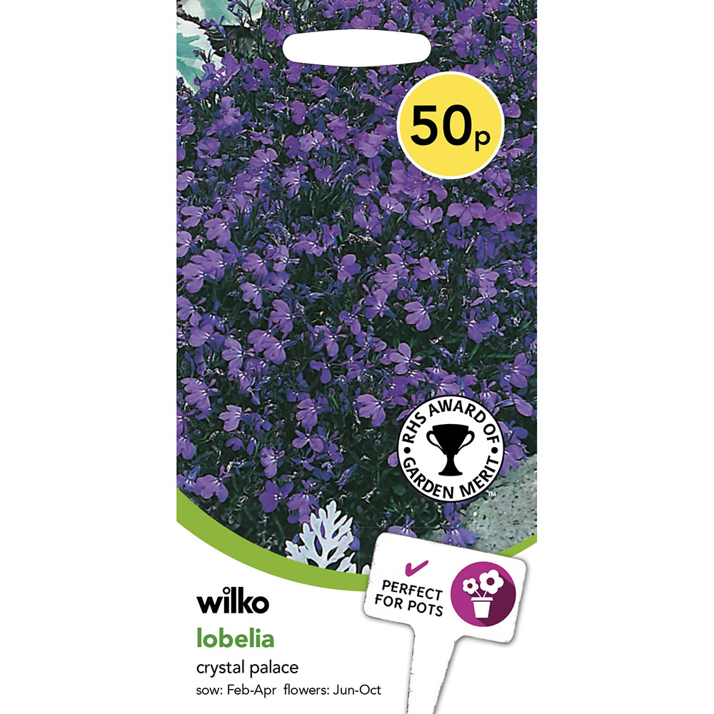 Wilko Lobelia Crystal Palace Flower Seeds Image 2