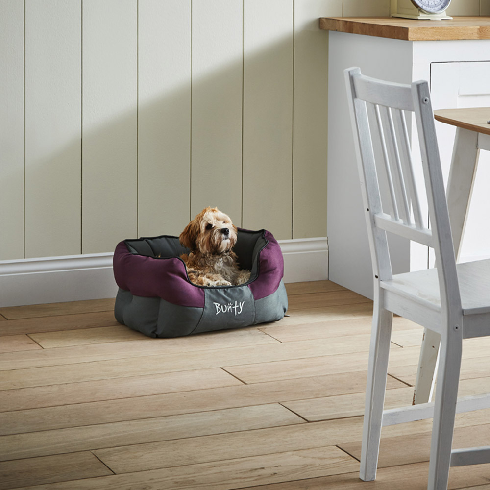Bunty Anchor Small Purple Pet Bed Image 2