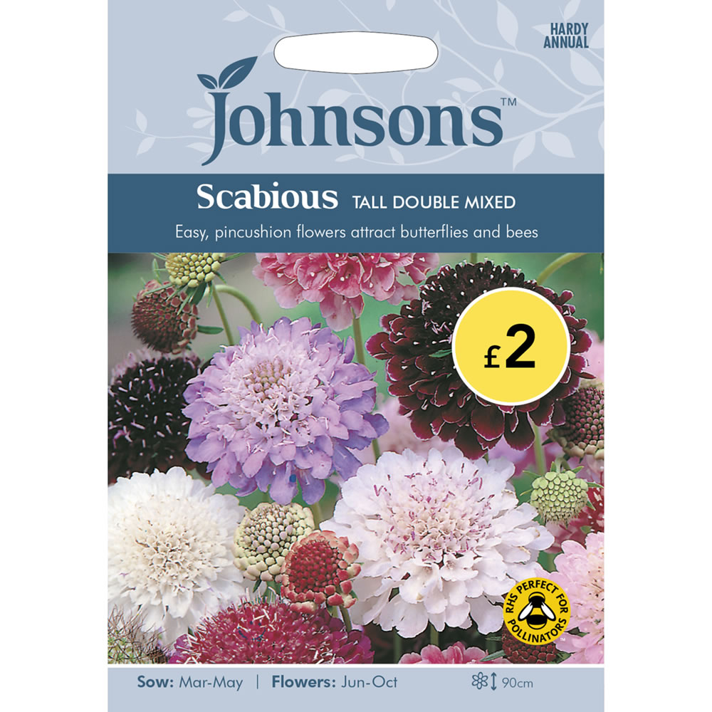 Johnsons Scabious Tall Double Mix Flower Seeds Image 2