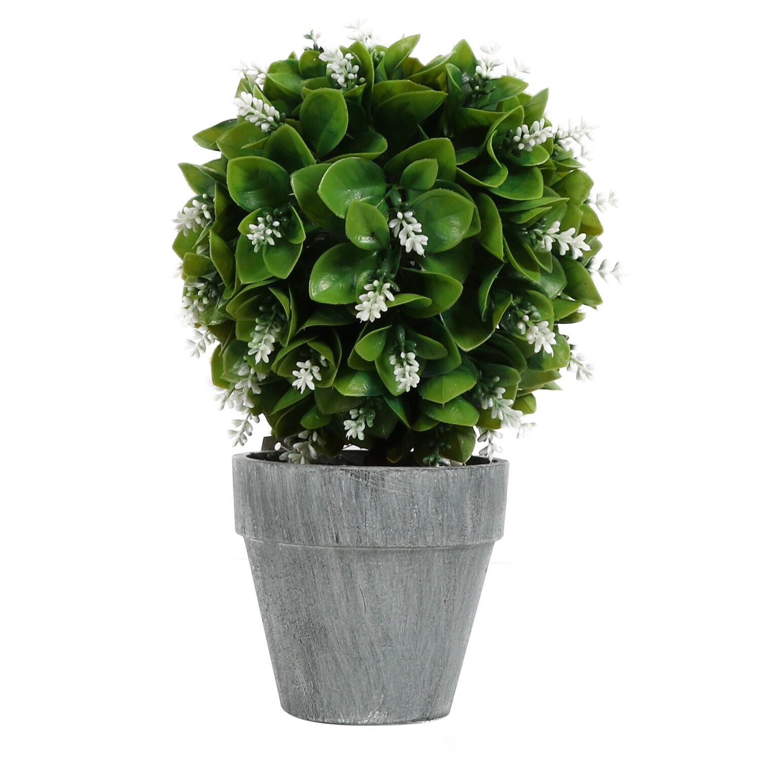 Topiary Ball in Grey Pot Image
