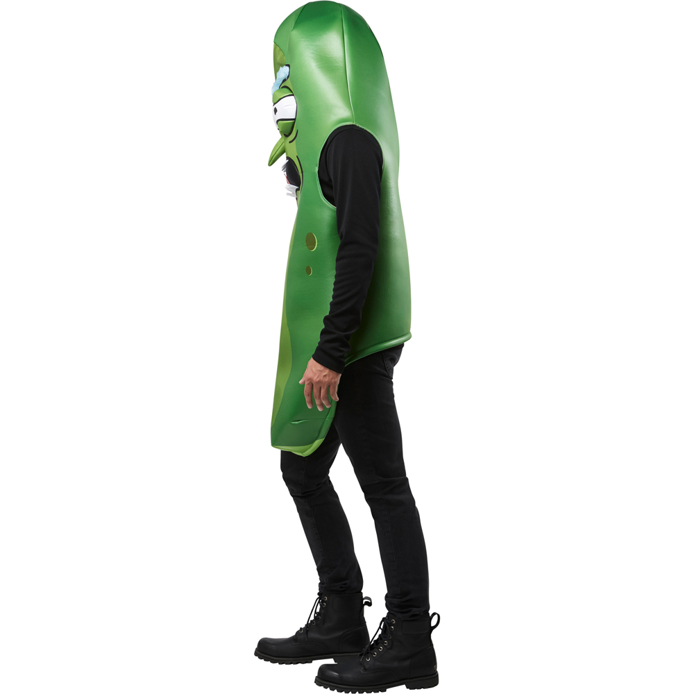 Rick and Morty Pickle Rick Adult Costume One Size Image 2